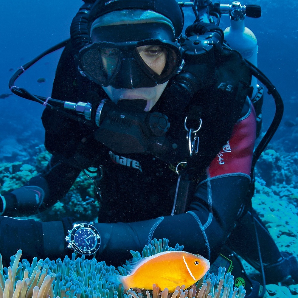 Diver with a Waterproof Watch